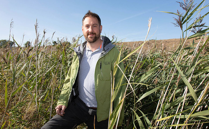 In Your Field: Tom Clarke - 'About 500 seagulls bobbed on the unwanted potato lake'