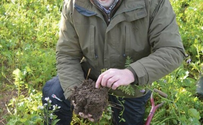 Online soil health guide launched