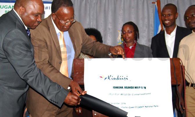 Kamuntu unveils Ishasha, Uganda Wild run Kamuntu unveils Ishasha, Uganda Wild run