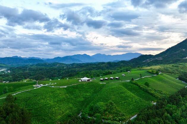 China's sustained poverty reduction efforts offer global experience