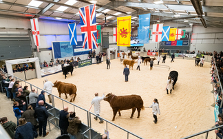Future of farm subsidies and food security up for discussion at Borderway Agri Expo