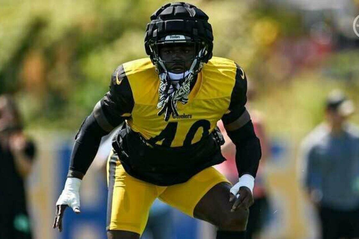 Tomlin on Peppers, Boz's impact, Darnold
