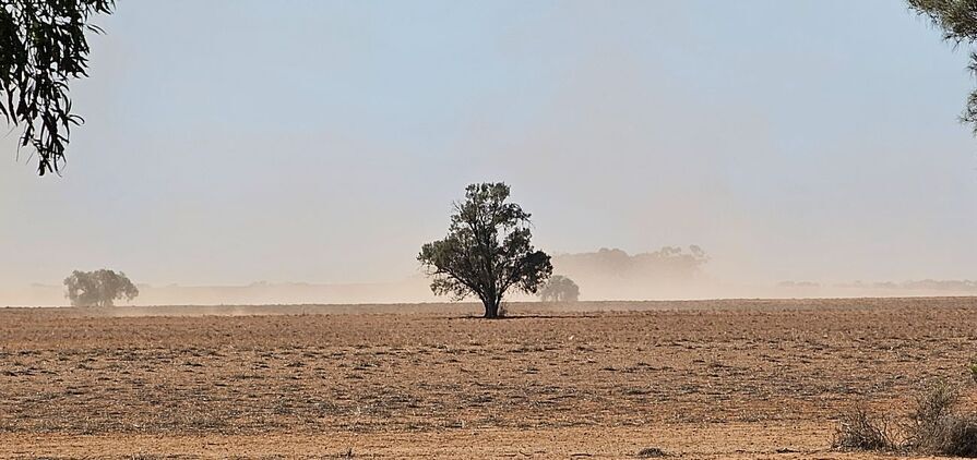 Wind erosion risk remains closely tied to groundcover levels, with bare or lightly covered soils most vulnerable to particle movement and dust loss.