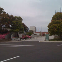 Nagasaki survivors urge world to abolish nuclear weapons