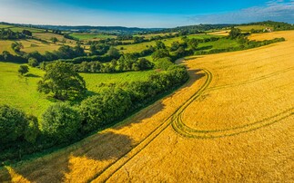 Almost 80% of farmers accept CS extensions