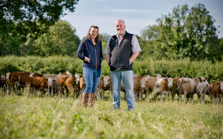 Simmentals stand the test of time on Warwickshire farm
