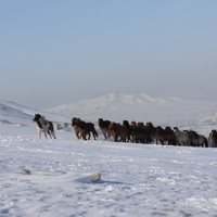 MONGOLIA-WEATHER-SNOWFALL-COVERAGE