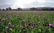 Upcoming Land Use Framework 'unkikely to be a silver bullet' to solve land crisis, says new report