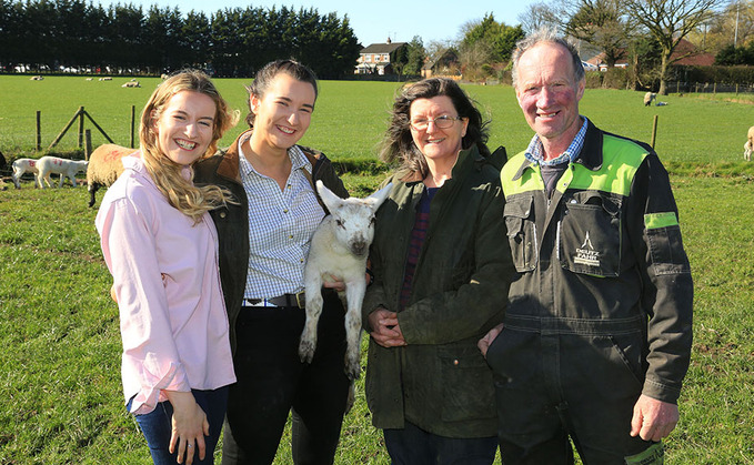 Lambing tours to bridge gap between town and country