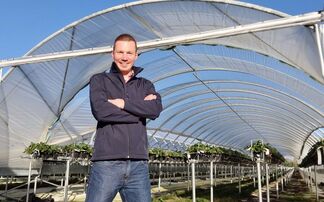 In your field: Dan Hawes – "I do feel relaxed and ready to take on work"