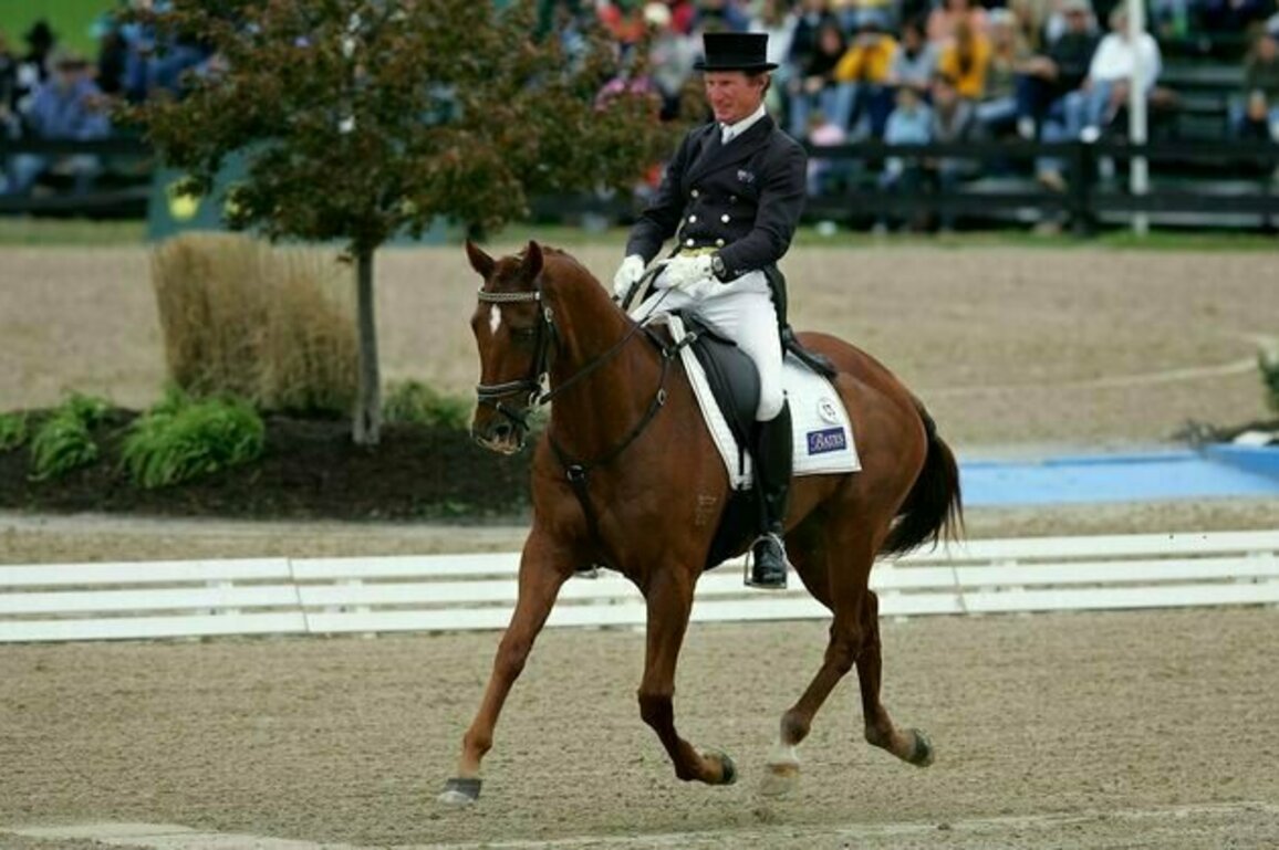 Horse whipping is painful and cruel. The latest incident shows why it should be banned