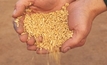 Reduced payment terms for grain welcomed