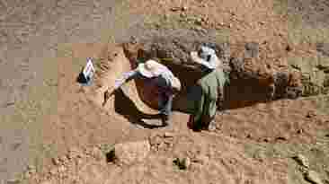 A new DPIRD led collaboration with grower groups will work with landholders to reduce the risk of wind erosion on properties with sandy soils.