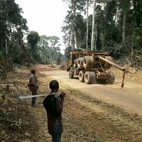 Cameroon's Baka people say they are part of the forest: that's why they look after it