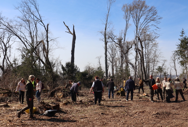 SLOVENIA-APACE-INTERNATIONAL FOREST DAY