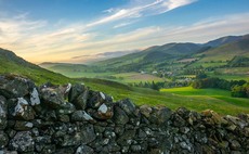 £20m cut to Scots agriculture funding will have 'devastating impact' on farming