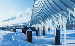 Net Zero: An unaffordable cost or key weapon following Russia's invasion of Ukraine?