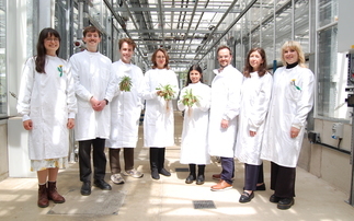 QuberTech secures funding boost for solution that promises to turn dandelions into sustainable rubber