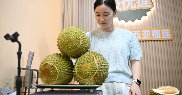 China's durian boom is ripening into a regional supply-chain story