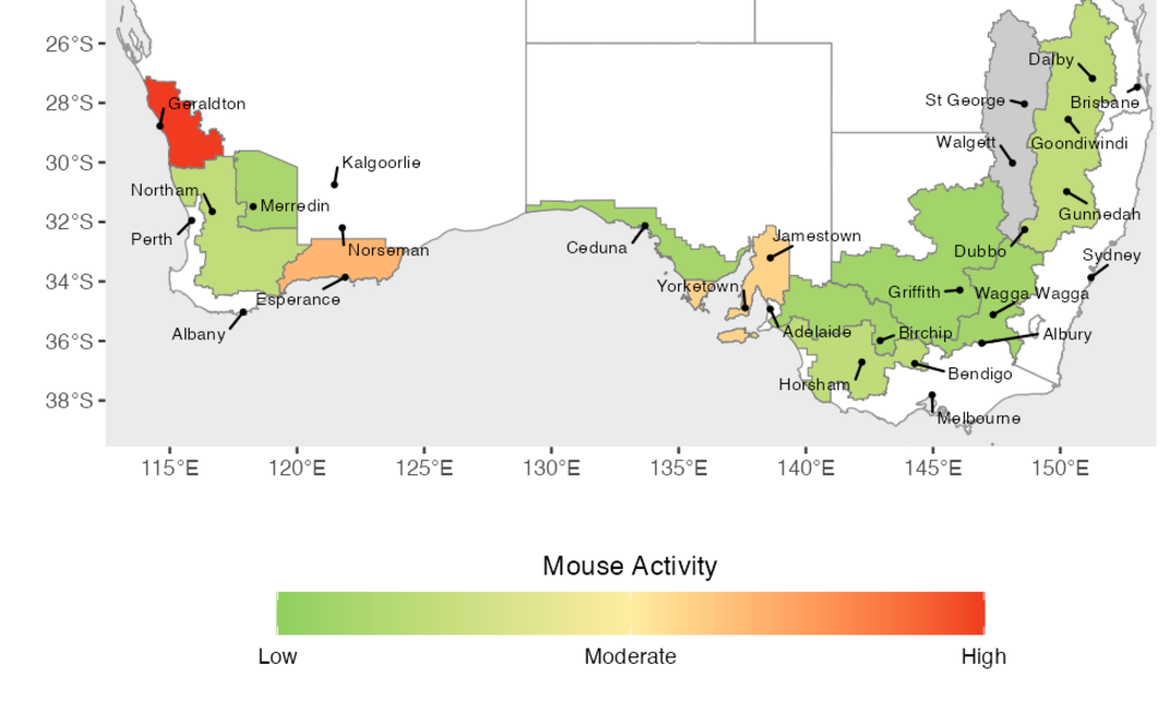Estimated relative mouse activity in Winter 2026 (June - August) across each GRDC agro-ecological zone (broad regions defined by similar climate, soils, and farming systems).