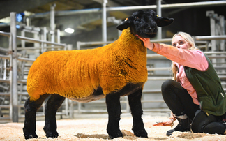 Howgillfoot hits the headlines