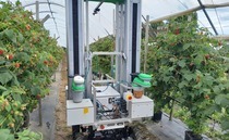 Horticulture: Autonomous harvesters set for UK farm trials after £3m backing
