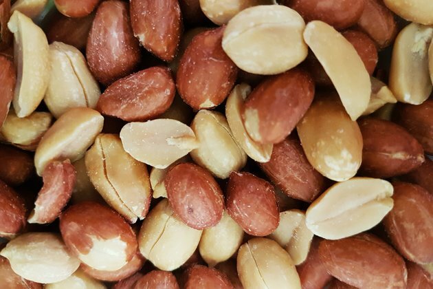 Tough nuts: why peanuts trigger such powerful allergic reactions