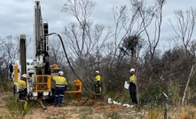  Mount Ridley's REE drilling in WA