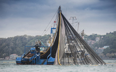 'A national scandal': More than 1.3 million tonnes of fish taken from UK's Marine Protected Areas since 2020