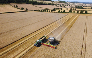 Harvest 2025: Catchy weather temporarily halts combines