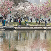 CHINA-BEIJING-SPRING-PHOTOGRAPHY ENTHUSIASTS(CN)