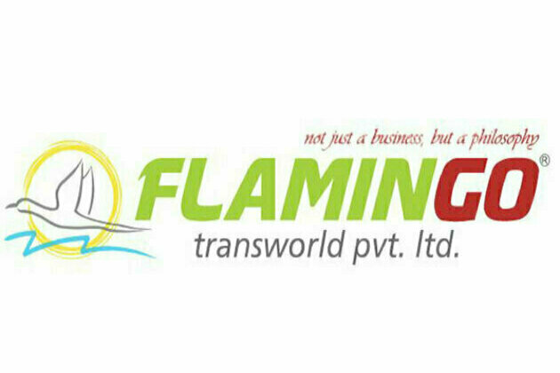 Flamingo Transworld takes user experience to new heights with a website makeover