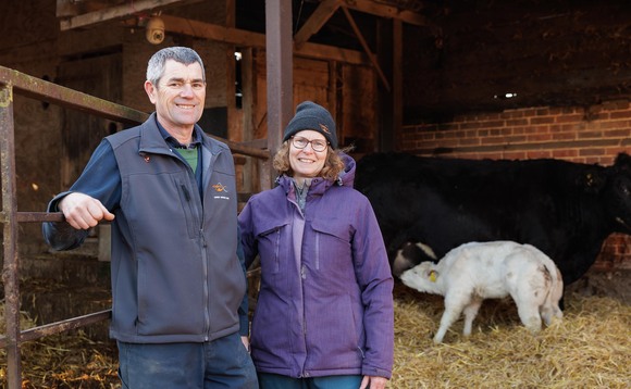 Breeding British Blue bulls for AI provides key income stream for Suffolk farm