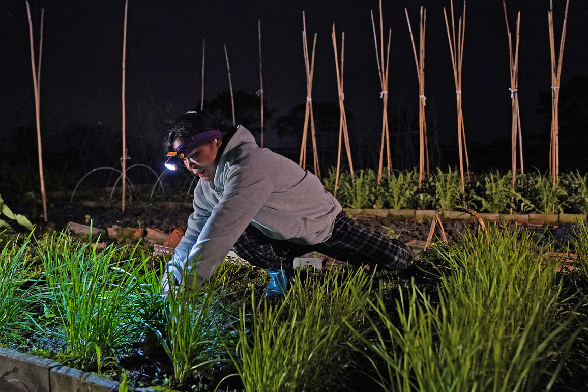 EconomyInFocus | The livelihood warmth of a "vegetable bus route" in Jiangxi