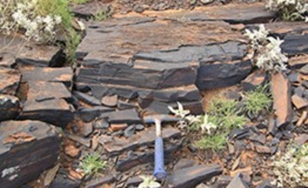 SA magnetite deposit