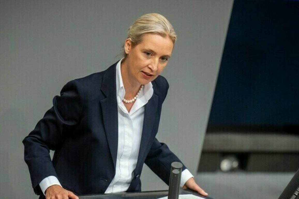 German opposition slams EU hypocrisy on Ukraine