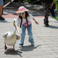 MALAYSIA-KUALA LUMPUR-BIRD PARK-LEISURE TIME