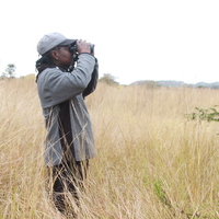 ZIMBABWE-HARARE-WETLAND-PRESERVATION-ECOSYSTEMS