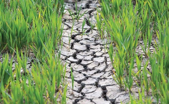 Winter rain will not stop drought, EA warns