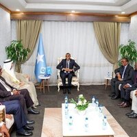 Global Council for Tolerance discusses strengthening peace-building efforts in Somalia