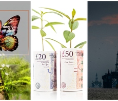 Progress on nature-related reporting, Labour's green investment plans, and North Sea drilling