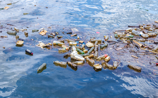 'Bitterly disappointing': Green economy reacts to the failure of Global Plastics Treaty talks