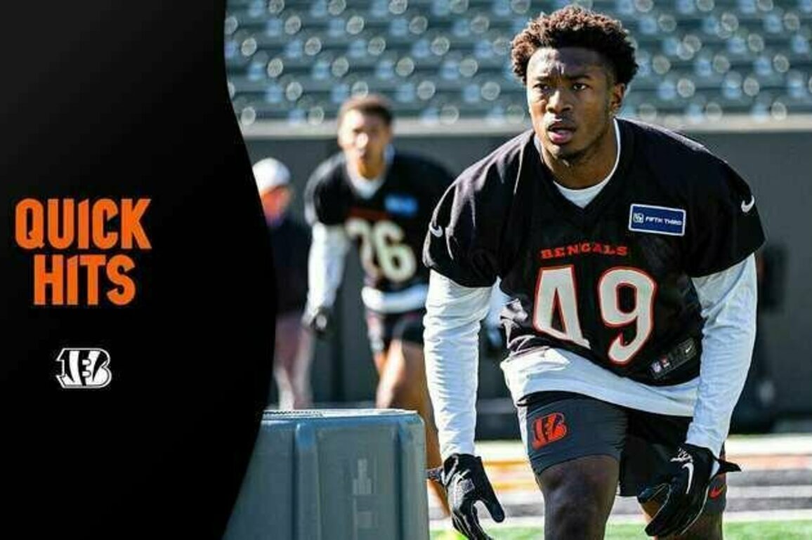 Bengals Rookie LBs Find The Man With The Golden Defense | QUICK HITS