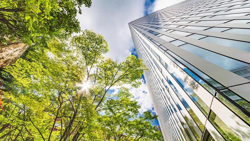 Three more BMF net zero carbon Business Champions announced