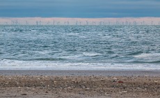 From disco scallops to heritage data, Crown Estate backs offshore wind research projects