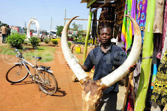  shop owner at the ganda quator at ayabwe displays some of the items they offer to tourists for sale