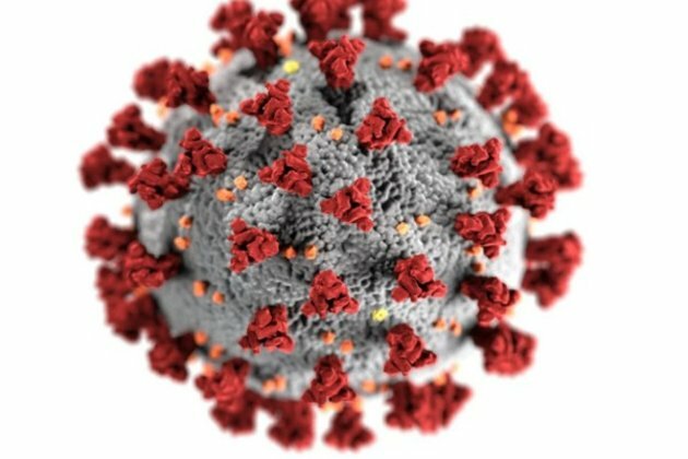 Covid vaccines did not increase sudden death risk among young Indian adults: ICMR study