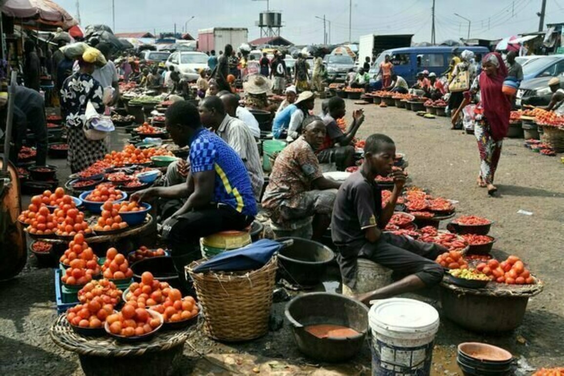 One in two Nigerians live in poverty: why relief programmes have failed