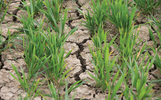 Yorkshire second region in England to move into drought status