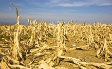 UN: Extreme heat presenting growing threat to agrifood systems